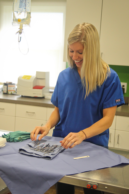 Oceana Veterinary Clinic Surgery